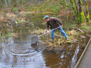 Wildlife Habit Work